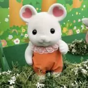 Sの画像