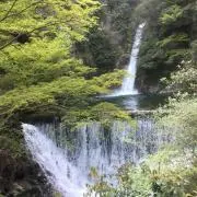 青黒黄色の画像