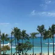 アリアの画像