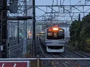 E217系の画像