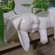 らららん
