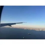 Cheloの画像