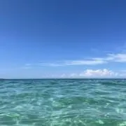 mの画像