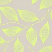 kairaの画像