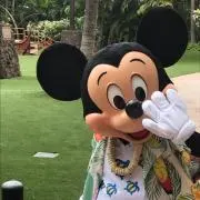 ポコ☆ココの画像