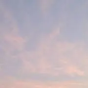かれんの画像