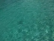 TURQUOIZの画像