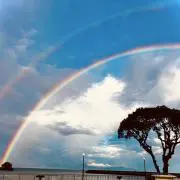 山賊おにぎりの画像