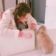 ⭐️の画像