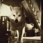 おか