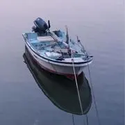 魚遊人の画像