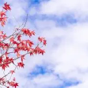 みにゃ♡の画像
