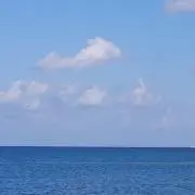 にこの画像