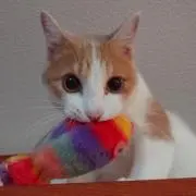 サムシン