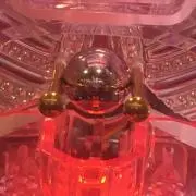 コナの画像