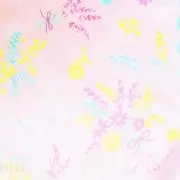 みーこの画像