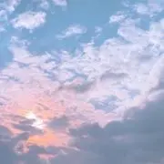 ひま子の画像