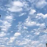 うにまろ