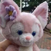 marumaruの画像