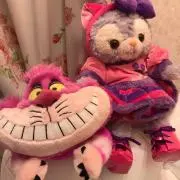 はるのあの画像