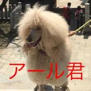 ゆき