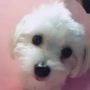 seka