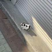 あきの画像