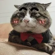 まきの画像