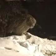 じゅん