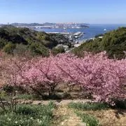 沢村さんの画像