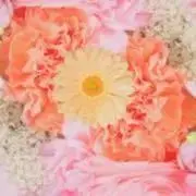 キャサリンの画像