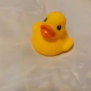 しおたんの画像