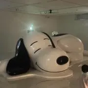 ととの画像