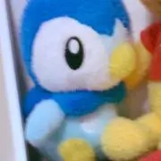 ちこちゃんの画像
