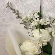 noelの画像