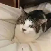 Ciao.nの画像