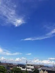 くろちゃん
