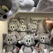 maaaの画像