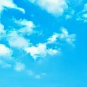 rasurasu13の画像