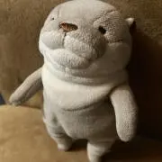 ぶさうその画像