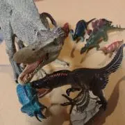 まこちゃんの画像