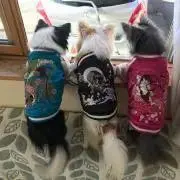 さよちん