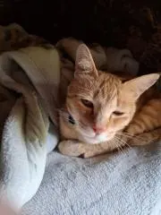 junkaの画像