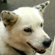 うっちぃ