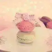Y☆ プロフ必読の画像