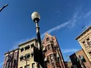 ナツメグの画像