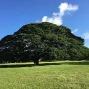 まななんの画像