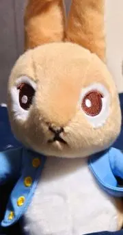 BLUE MOONの画像