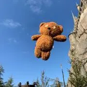 yyyの画像