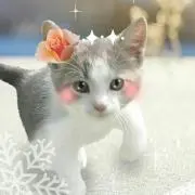 あらしの画像